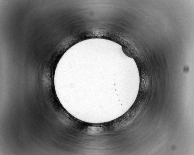 X0000103440220200810101112