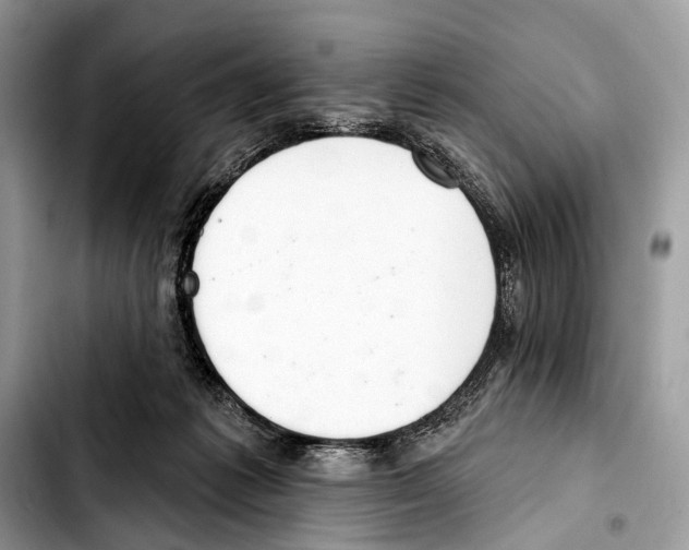 X0000103440221200810101112