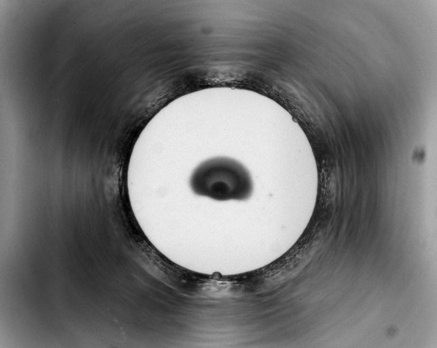 X0000103440227200810101112