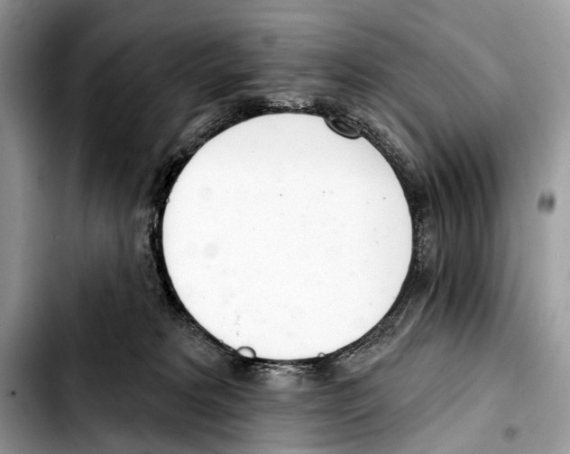 X0000103440229200810101112