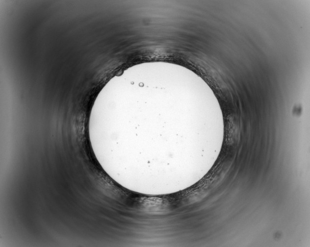 X0000103440230200810101112