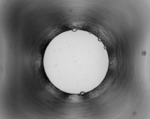 X0000103440231200810101112