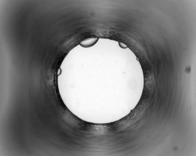 X0000103440233200810101112