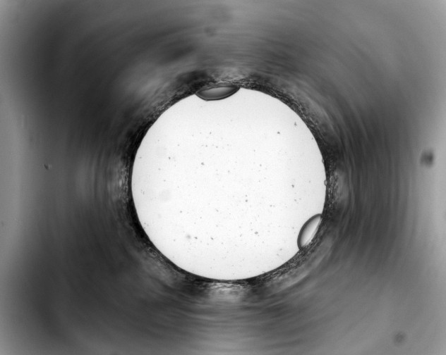 X0000103440234200810101112
