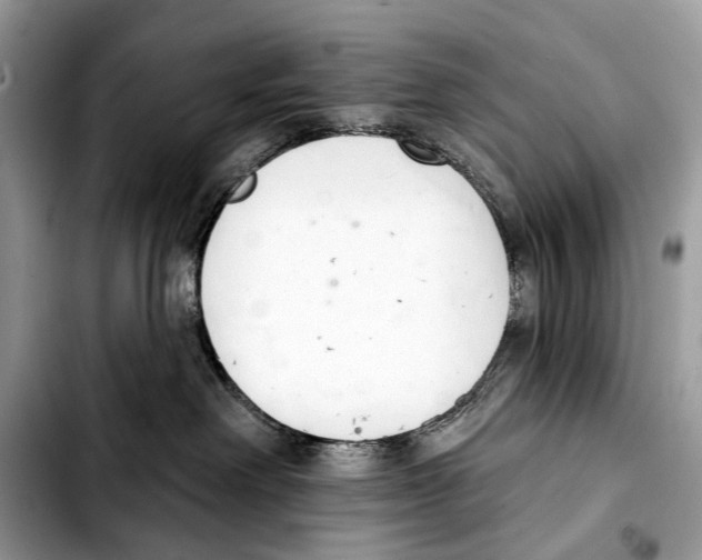 X0000103440238200810101112