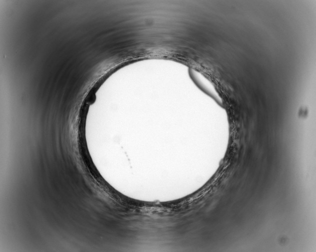 X0000103440242200810101111