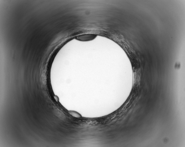 X0000103440243200810101111