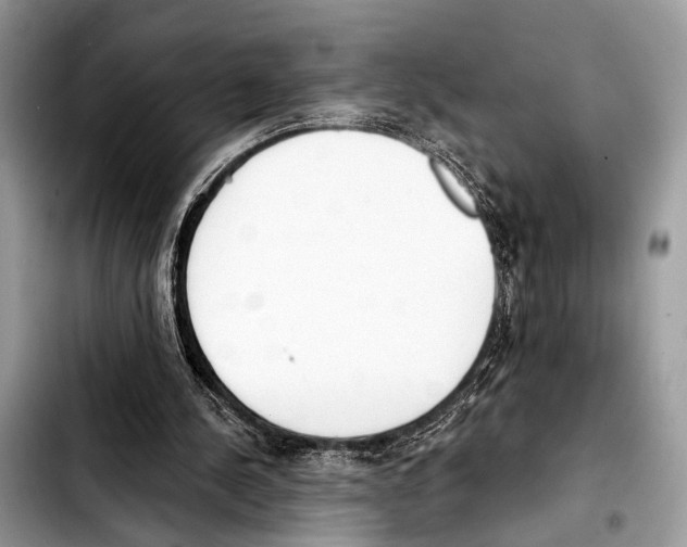 X0000103440244200810101111