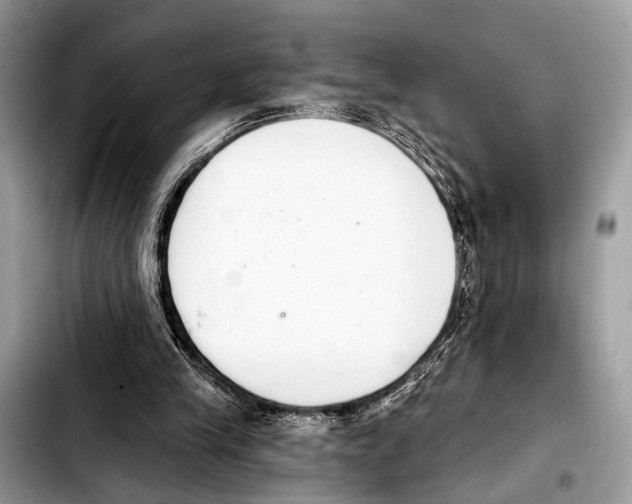 X0000103440245200810101111
