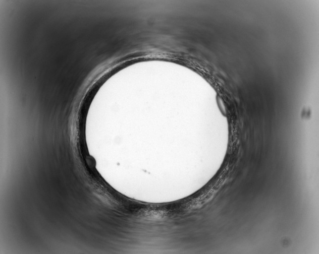 X0000103440247200810101111