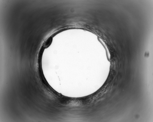 X0000103440248200810101111