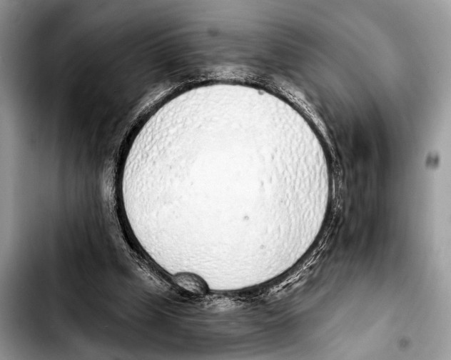 X0000103440249200810101111