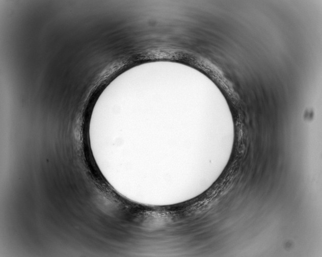 X0000103440250200810101111