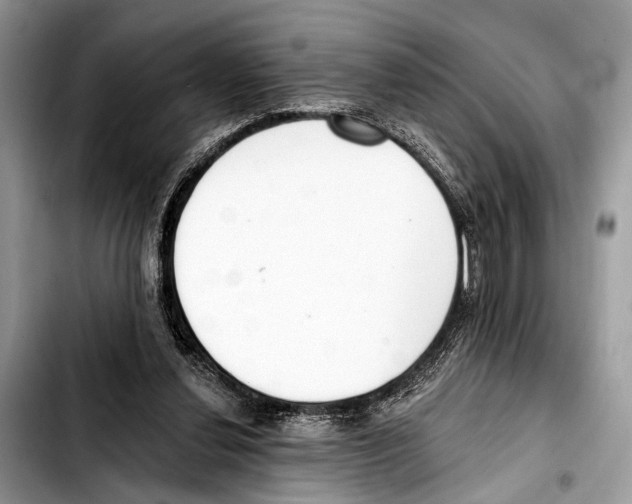 X0000103440252200810101111