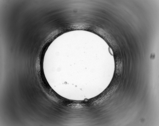 X0000103440254200810101111