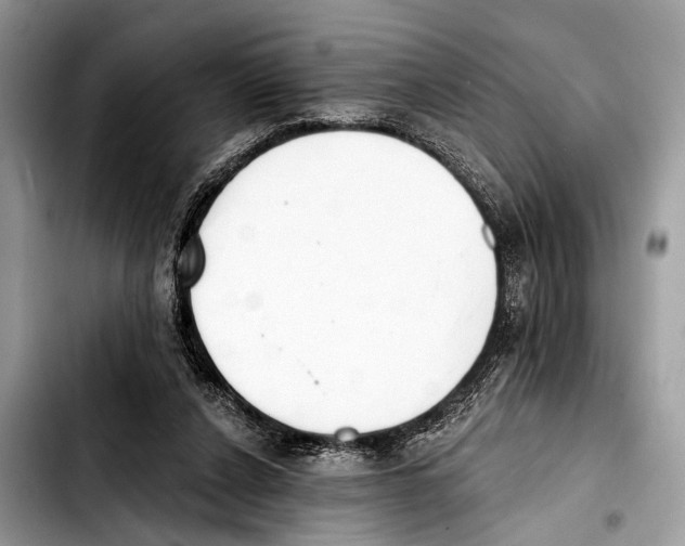 X0000103440256200810101111