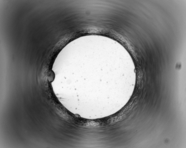 X0000103440257200810101111