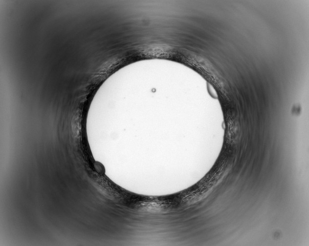 X0000103440259200810101111