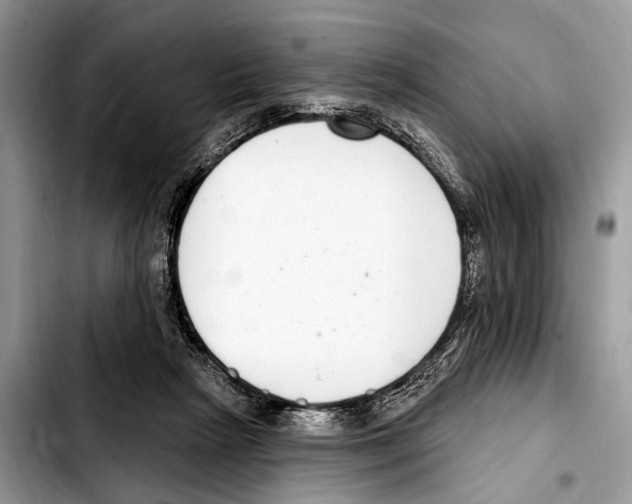 X0000103440265200810101111