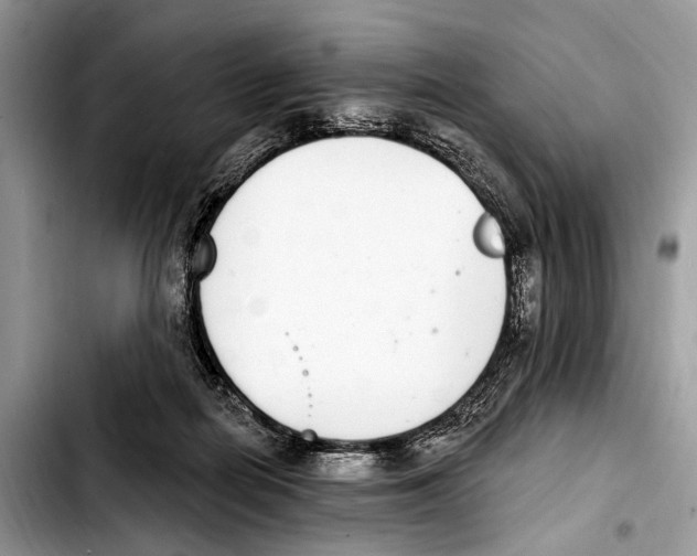 X0000103440266200810101111