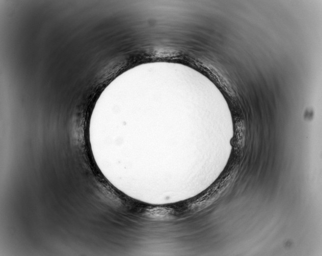 X0000103440269200810101112
