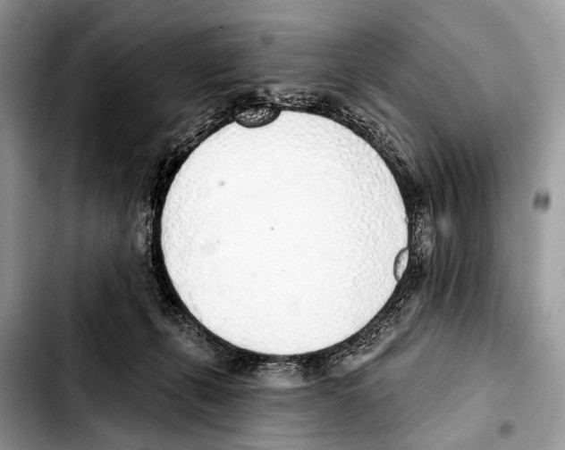 X0000103440271200810101112