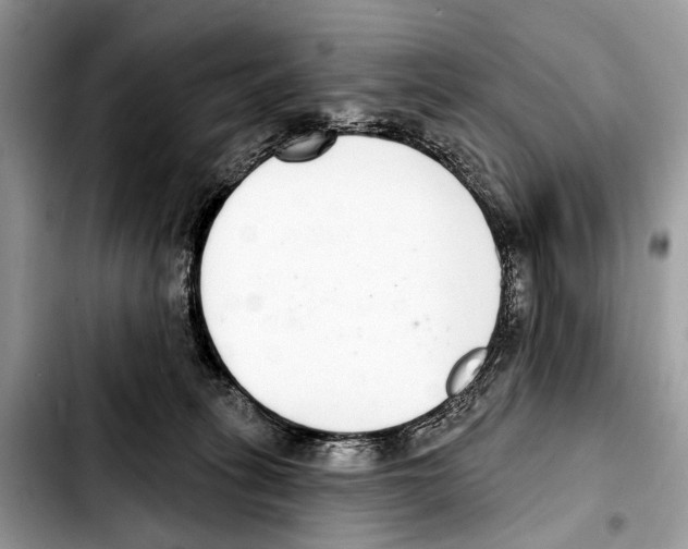 X0000103440275200810101112