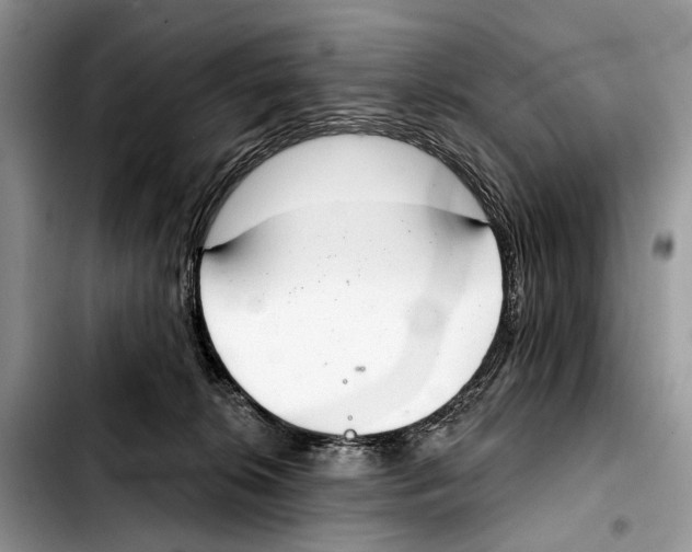 X0000103440276200810101112
