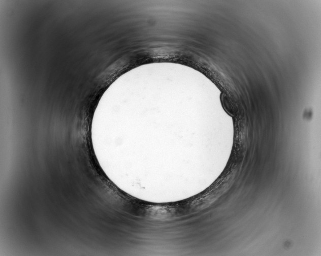 X0000103440277200810101112