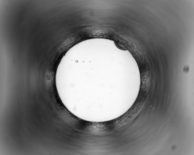 X0000103440278200810101112