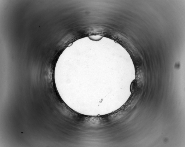 X0000103440282200810101112