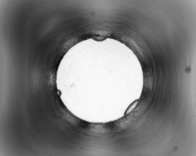 X0000103440285200810101112