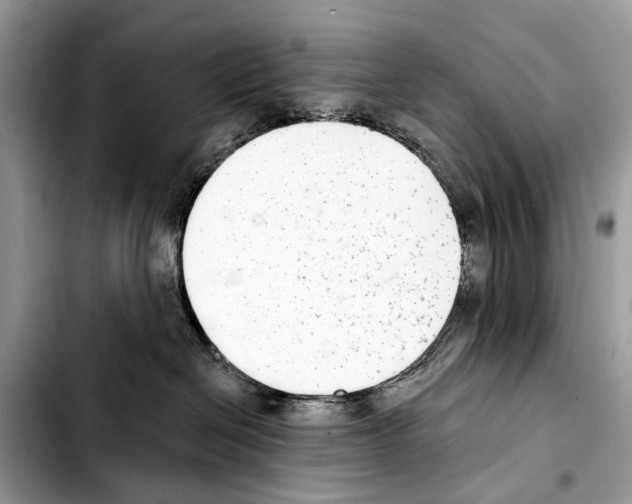 X0000103440286200810101112