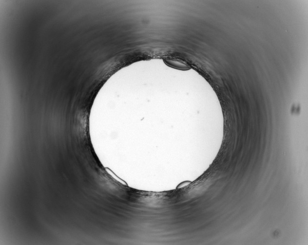 X0000103440288200810101112