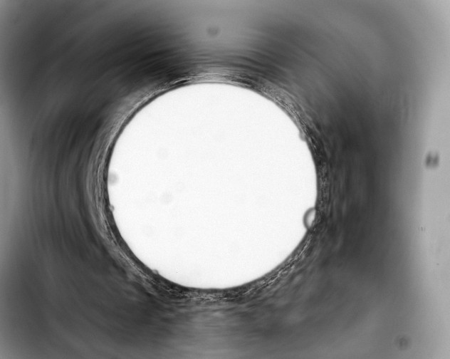 X0000103440289200810101111
