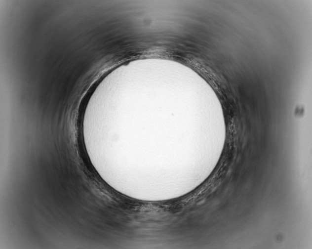 X0000103440290200810101111