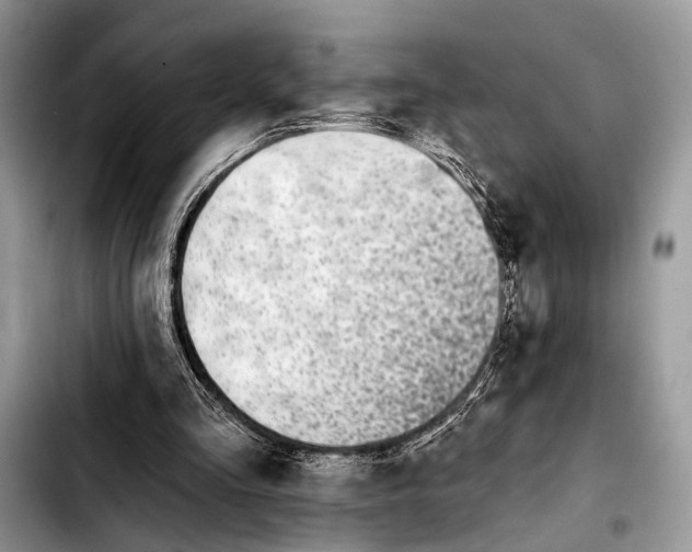 X0000103440293200810101111