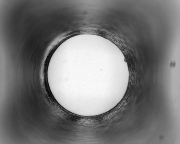 X0000103440294200810101111
