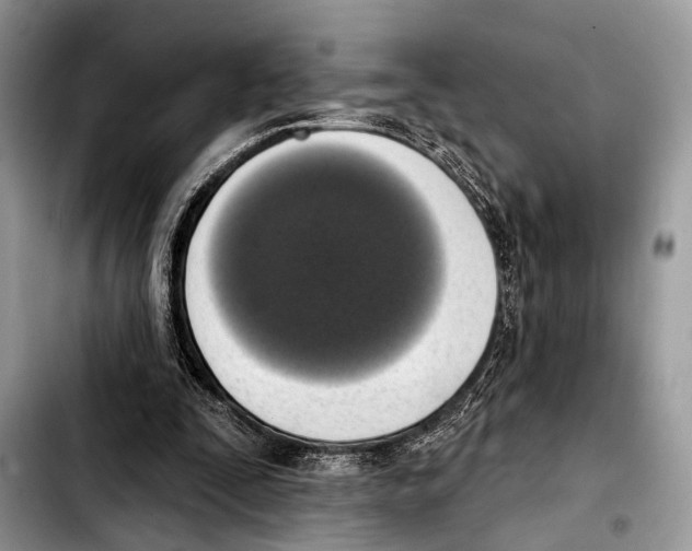 X0000103440295200810101111
