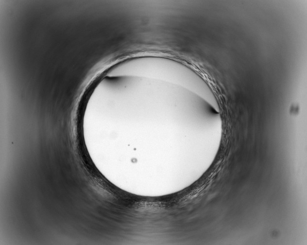 X0000103440296200810101111
