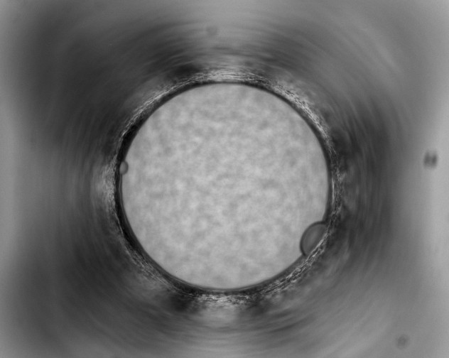 X0000103440297200810101111