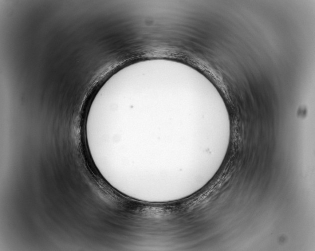 X0000103440298200810101111