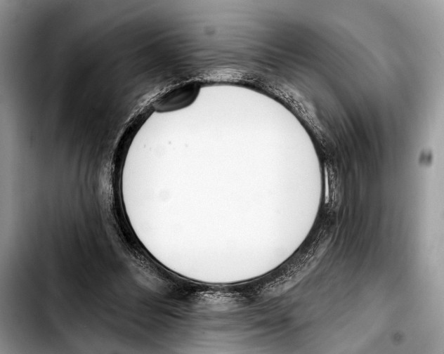 X0000103440300200810101111