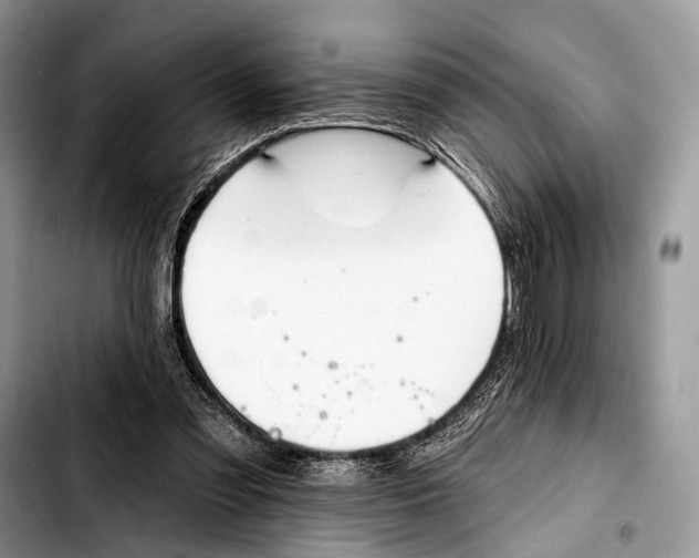 X0000103440301200810101111