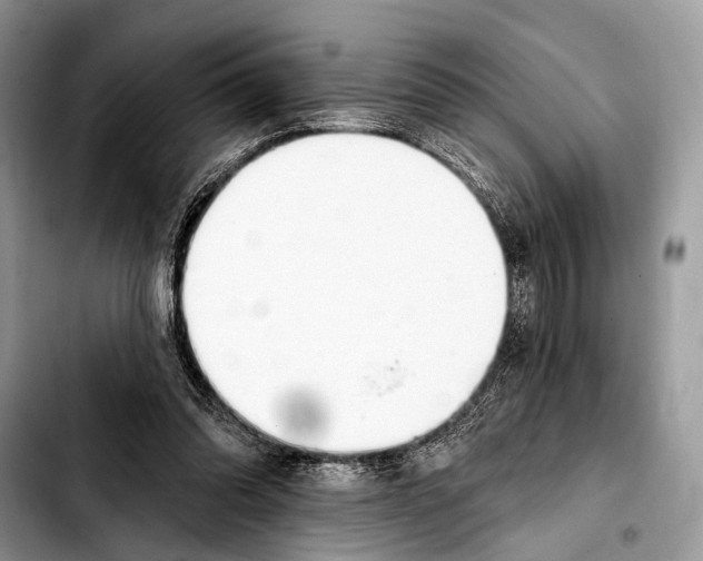 X0000103440302200810101111