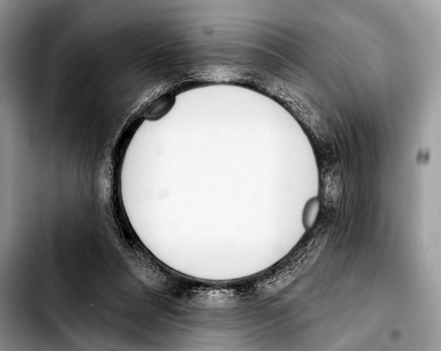 X0000103440304200810101111