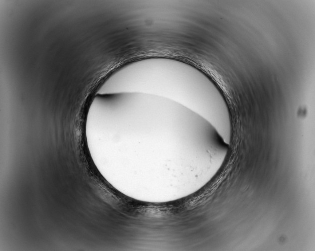 X0000103440305200810101111