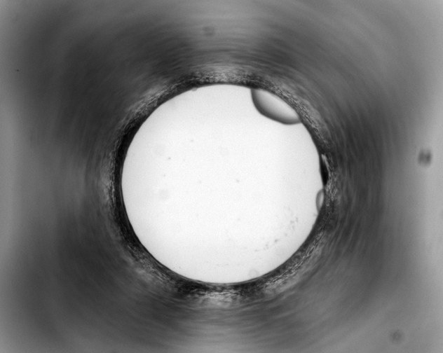 X0000103440306200810101111