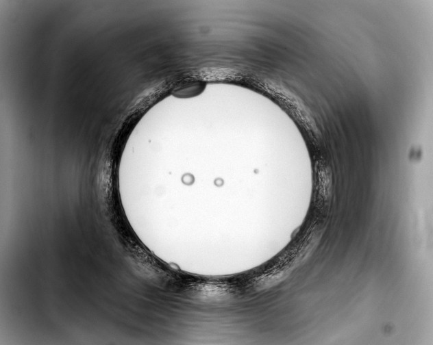 X0000103440308200810101111