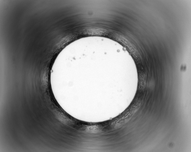 X0000103440309200810101111
